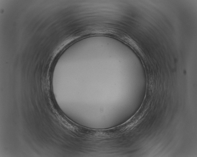 X0000062610787200601111007