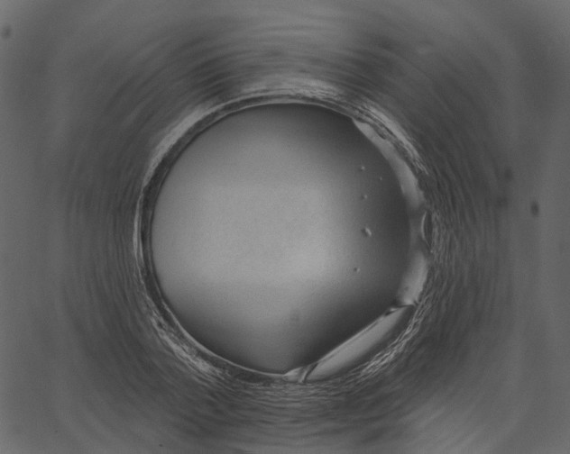 X0000062610788200601111007