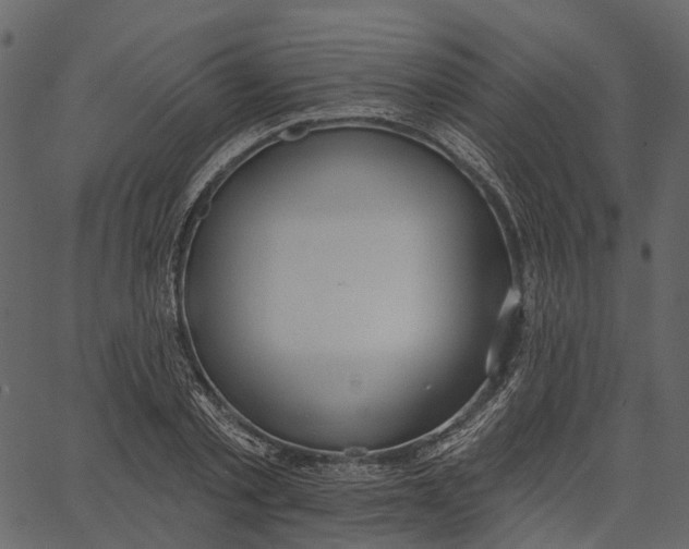 X0000062610789200601111007