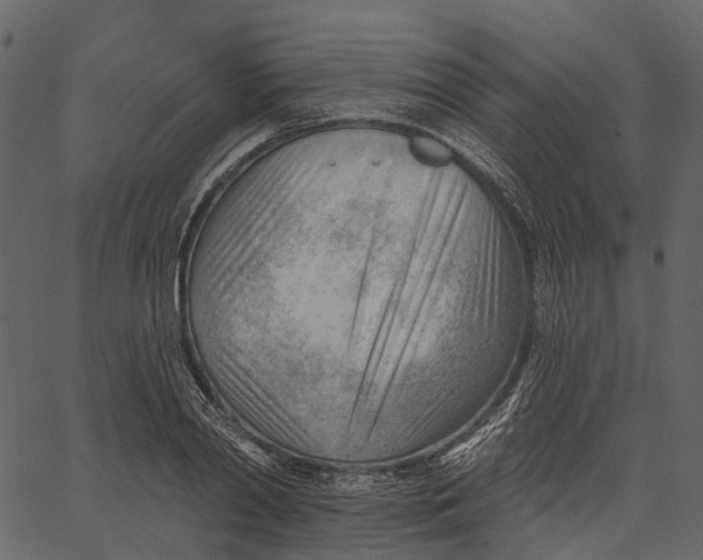 X0000062610790200601111007