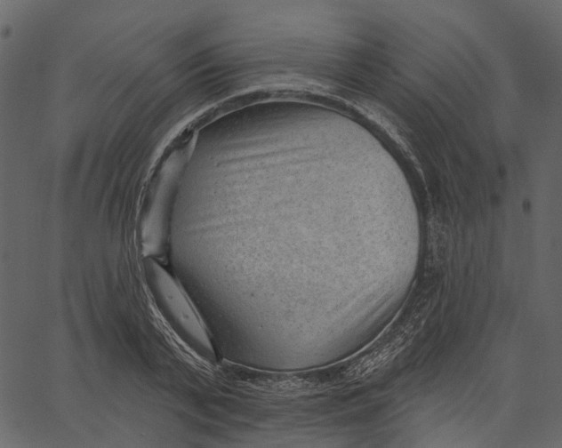 X0000062610791200601111007