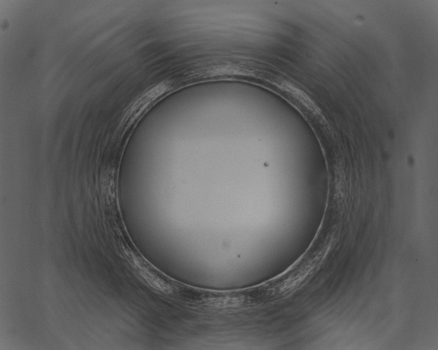 X0000062610793200601111007