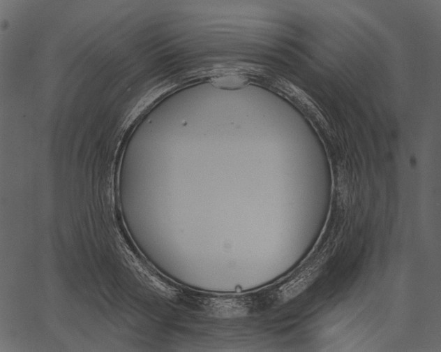 X0000062610794200601111007