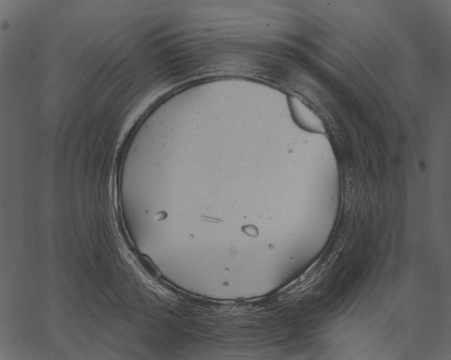 X0000062610796200601111007