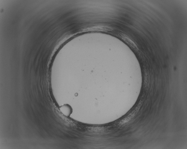 X0000062610800200601111007