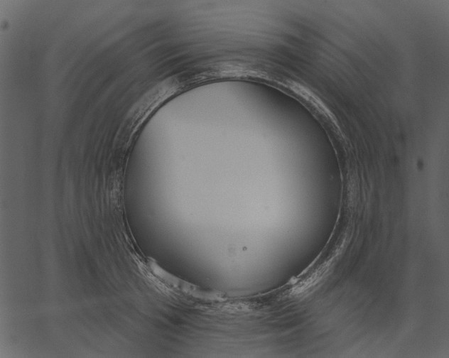 X0000062610801200601111007