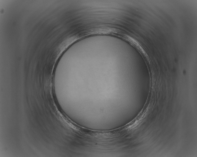 X0000062610802200601111007