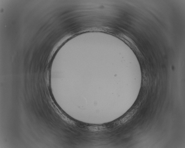 X0000062610804200601111007