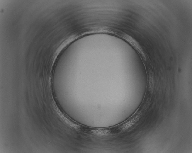 X0000062610805200601111007