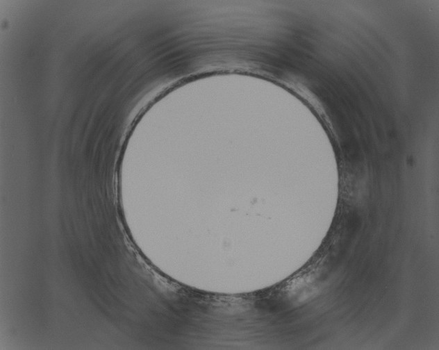 X0000062610807200601111007