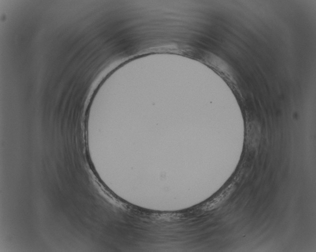 X0000062610808200601111007