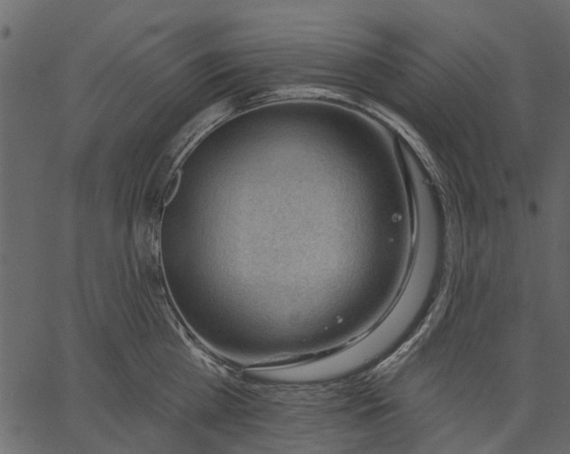 X0000062610809200601111007