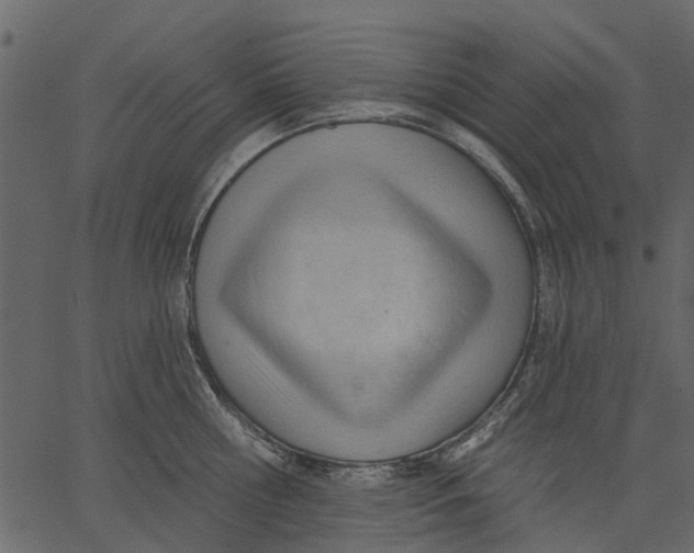 X0000062610810200601111007