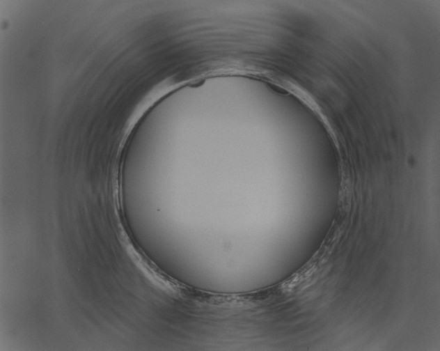 X0000062610811200601111007