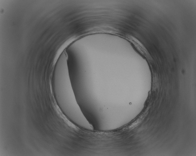 X0000062610812200601111007