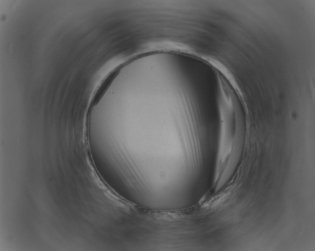 X0000062610815200601111007