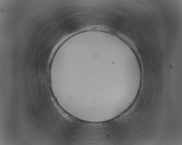 X0000062610816200601111007