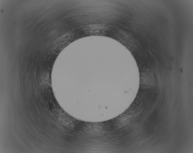 X0000062610820200601111006