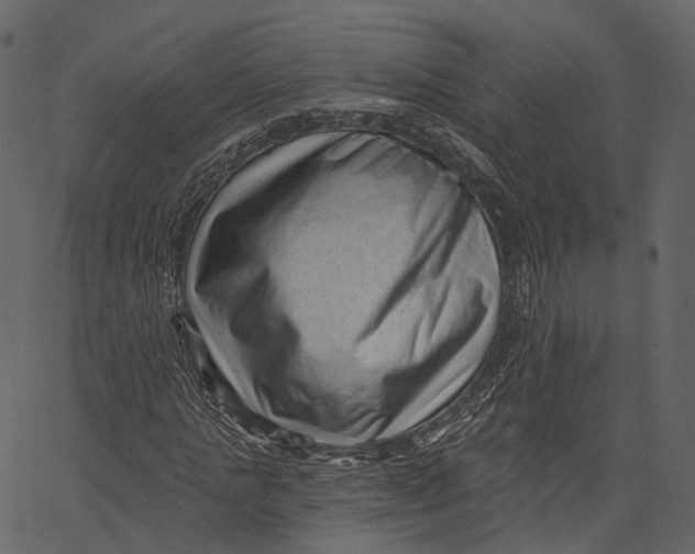 X0000062610821200601111006