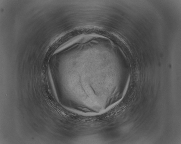 X0000062610823200601111006