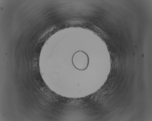 X0000062610824200601111006