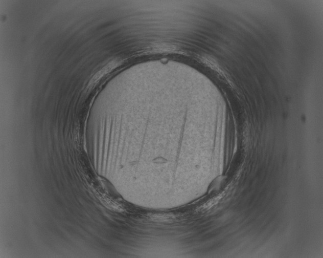 X0000062610825200601111006