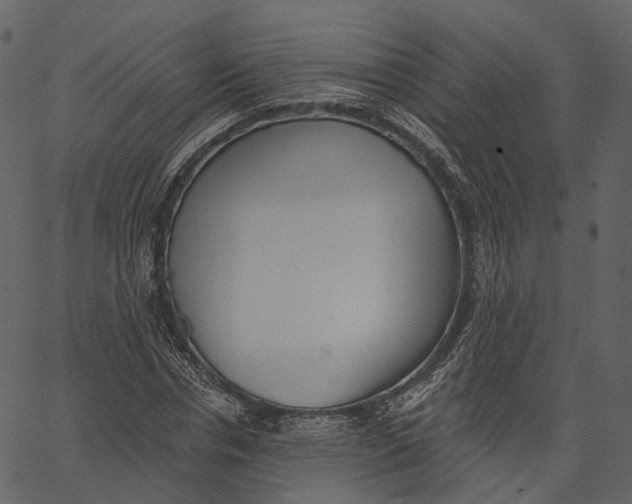 X0000062610826200601111006