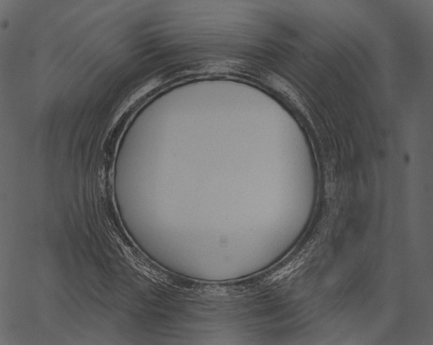 X0000062610827200601111006