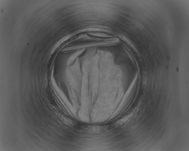 X0000062610829200601111006