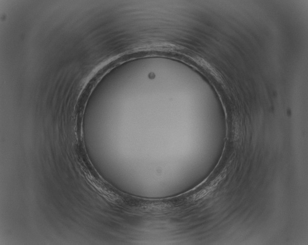 X0000062610830200601111006