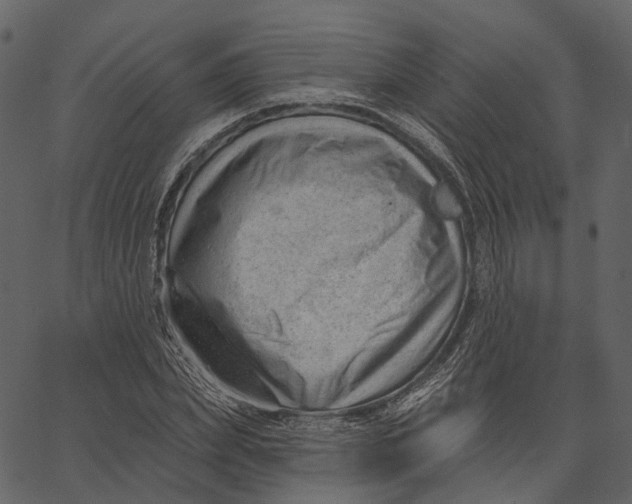 X0000062610831200601111006