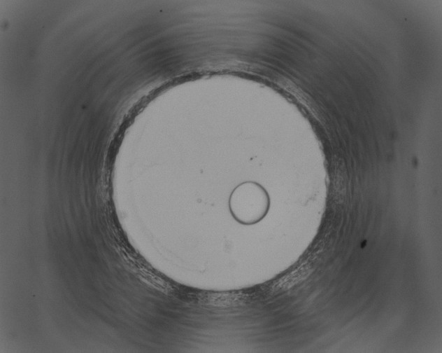 X0000062610832200601111006