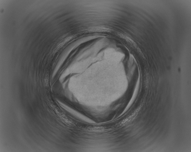 X0000062610833200601111006