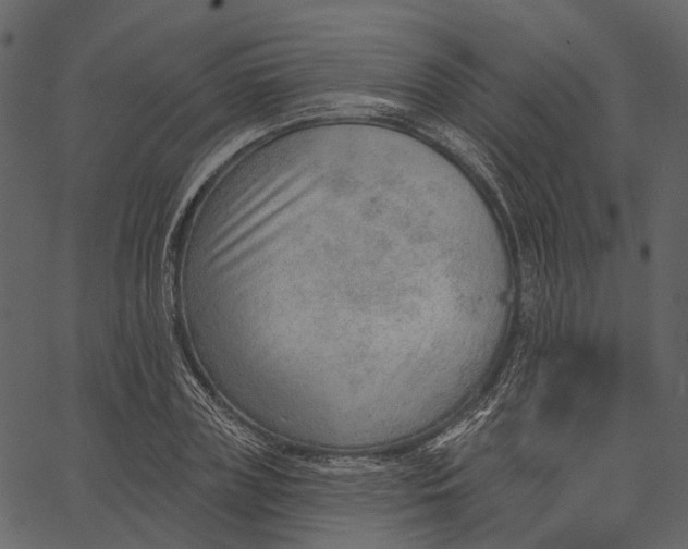 X0000062610835200601111006