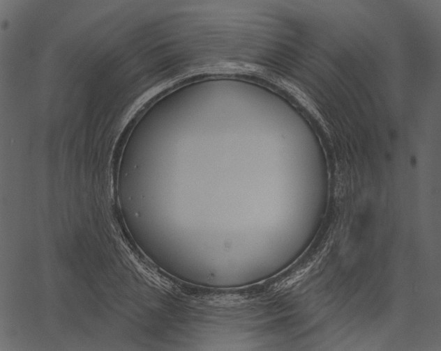 X0000062610837200601111006