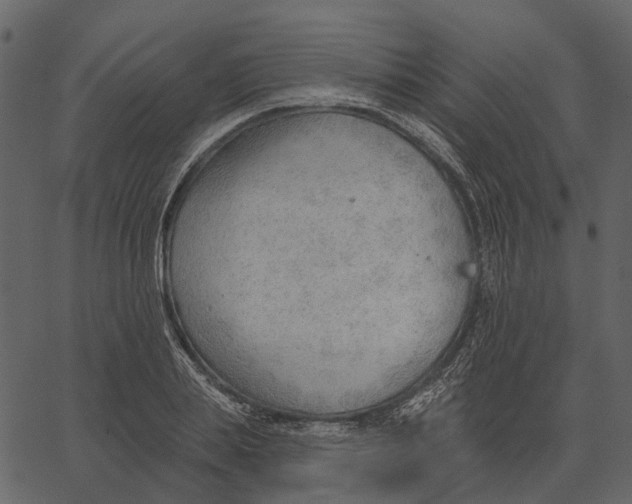 X0000062610839200601111006