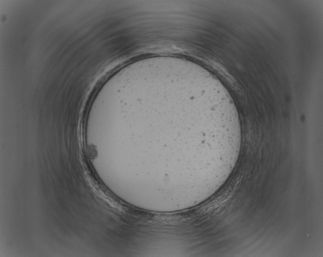 X0000062610840200601111006