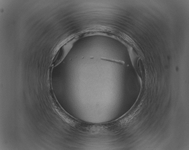 X0000062610842200601111006