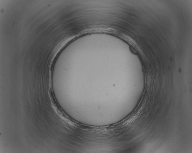 X0000062610844200601111006