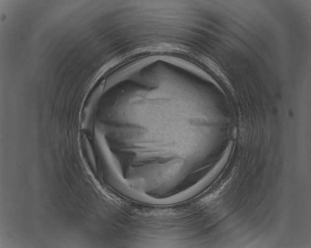 X0000062610845200601111006