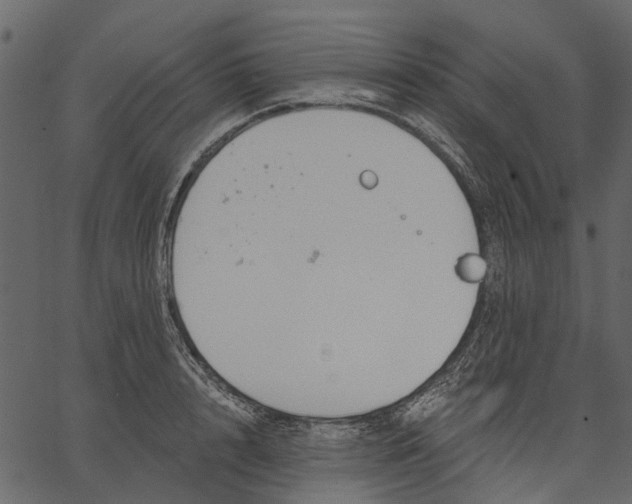 X0000062610848200601111006