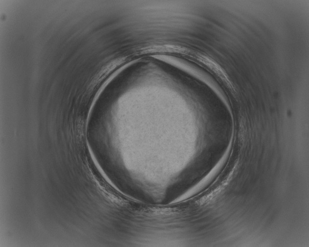 X0000062610849200601111006