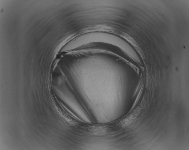 X0000062610850200601111006