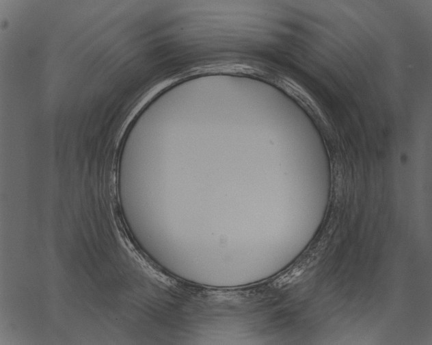 X0000062610852200601111006