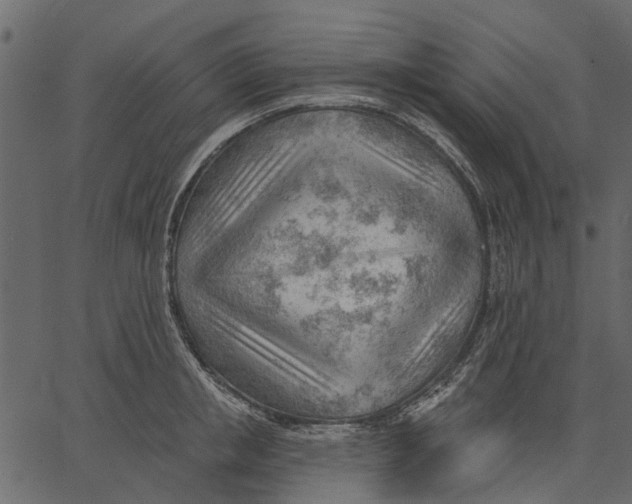 X0000062610853200601111006