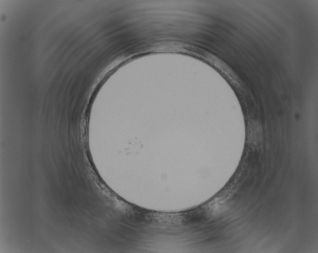 X0000062610856200601111006