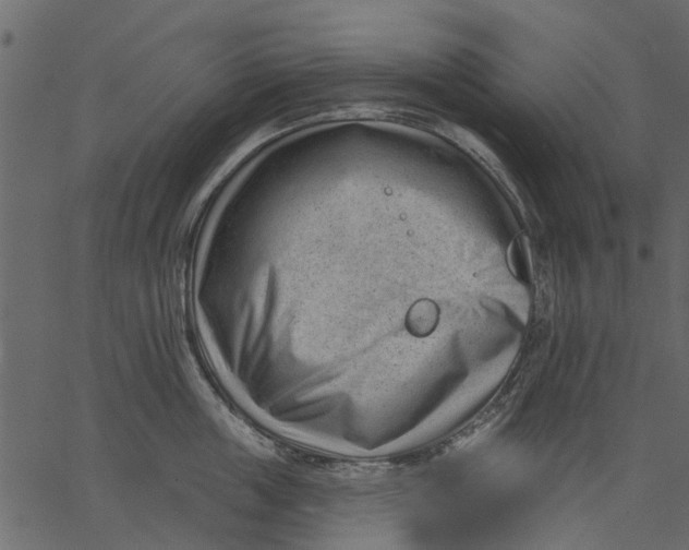 X0000062610859200601111007