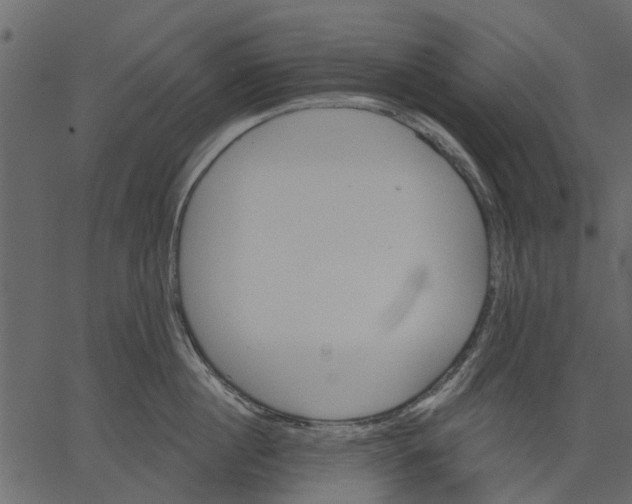 X0000062610860200601111007