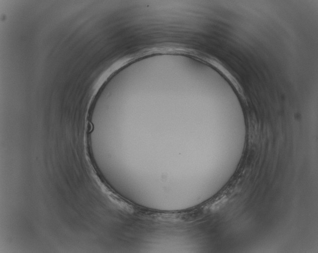 X0000062610861200601111007