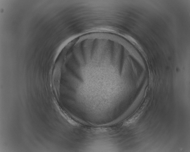 X0000062610862200601111007